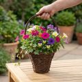 Korb mit Henkel aus Weidenholz Ø24×H18cm für Dekoration und Pflanzen | Floristik24.at