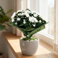 Kalanchoe künstlich aus Kunststoff Weiß 24cm | Floristik24.at