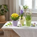 Pflanztopf gewebt aus Papier Ø7 cm H13 cm in Grün, Gelb und Lila, 12 Stück | Floristik24.at
