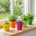 Blumentopf-Übertopf aus Kunststoff, Ø10,5 cm, bunt sortiert, 10 Stück | Floristik24.at