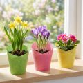Übertopf aus Papier Ø7cm H13cm, gewebt, Pink, Gelb, Grün, 12 Stück | Floristik24.at