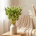 Hasenschwanzgras Ziergras Lagurus Olivgrün L65cm 50g | Floristik24.at