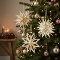 Papiersterne Weihnachtsdekoration Weiß Gold Ø 15 cm 6 Stück | Floristik24.at