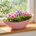 Pflanzschale Kunststoff Pink Oval 28×9×9cm 3 Stück | Floristik24.at