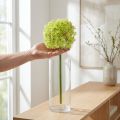 Allium künstlich grüne Blüte Ø18cm 90cm für Wohn- und Raumdekoration | Floristik24.at
