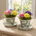 Deko Tasse Metall Weiß gewaschen Antik Ø9cm H8cm 2St | Floristik24.at