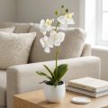 Weiße künstliche Orchidee im Keramiktopf Phalaenopsis H33 cm | Floristik24.at