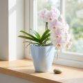 Orchideen-Übertopf Kunststoff Weiß Ø12,5cm | Floristik24.at