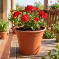 Blumentopf Irys Kunststoff Terrakotta Ø19cm H16cm | Floristik24.at