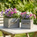 Pflanzgefäß Holz Schublade Grau 2er-Set Innenbereich 15×15cm/12×12cm | Floristik24.at