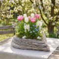 Pflanzherz Pflanzschale Rattan Herz Weiß Natur 28x34cm | Floristik24.at