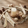 Scalettaschote gebleicht Holz Naturdeko 25–46cm 25 Stück | Floristik24.at
