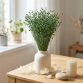 Getrockneter Flachs Grün 50–55cm Naturmaterial für Dekoration | Floristik24.at