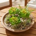 Echeveria künstliche Sukkulenten aus Kunststoff Grün Ø7cm 6 Stück | Floristik24.at