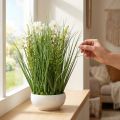 Deko Gras mit weißen Cosmea-Blüten in Kunststoffschale H45cm | Floristik24.at