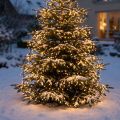 LED-Lichterkette Warmweiß 720 LEDs 54m für Außen und Innen | Floristik24.at