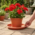Untersetzer Linda Kunststoff Ø37cm Terrakotta für Pflanzgefäße | Floristik24.at