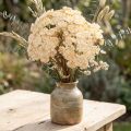 Schafgarbe künstlich Creme Kunstblume 30 cm 6 Stiele | Floristik24.at