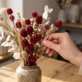 Kugelamarant Gomphrena Globosa Trockenblumen Dunkelrot 45cm 100g | Floristik24.at