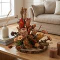 Trockendeko Protea Zapfen Bellgum Naturmaterial 24–48cm 580g | Floristik24.at