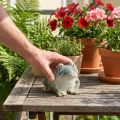 Keramik-Froschfigur 12cm grün für Wohnung und Balkon | Floristik24.at