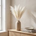 Trockenblumen Silbergras Weiß 70cm 10 Stück Dekoration | Floristik24.at