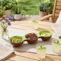 Keramikschale dreigeteilt Kiwi-Motiv 30 cm Braun-Grün | Floristik24.at