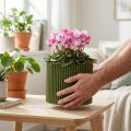 Übertopf aus Papier Dunkelgrün Ø19cm H14cm, 3 Stück | Floristik24.at