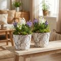 Dekotopf Birkenrinde Weiß Ø18cm H15cm 2er-Set | Floristik24.at