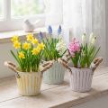 Pflanzeimer-Set aus Metall mit Jute-Henkeln, Ø 12 cm, H 10 cm, Rosa/Grün/Gelb, 3 Stück | Floristik24.at