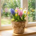 Runder Übertopf aus Birkenrinde Ø12cm H10cm 5er Set | Floristik24.at