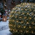 LED Lichternetz 384 Warmweiß 3m x3 m für Außen | Floristik24.at