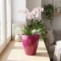 Orchideentopf Kunststoff glänzend Ø12,5cm Kirsche 1 Stück | Floristik24.at