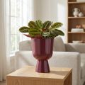 Metall-Blumentopf Pokalform 23 cm Bordeauxrot dekorativ | Floristik24.at