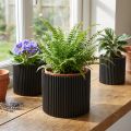 Übertopf aus geriffeltem Papier Schwarz Ø19cm H14cm 3er-Set | Floristik24.at
