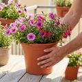 Topf „Irys“ Kunststoff Terrakotta Ø29cm H24cm 1 Stück | Floristik24.at