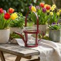 Windlicht Metall Gießkanne Rot Ø14cm H13cm | Floristik24.at