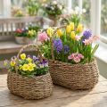 Pflanzkorb Set mit Henkeln aus Naturmaterial, L23/35cm, Beige, 2-teilig | Floristik24.at