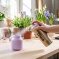 Sprühfarbe Lackspray NC-Acryl 400ml Hell Lila Matt für Innen und Außen | Floristik24.at
