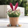 Beflockte Hasenohren Pink Deko-Stab H56cm Osterdekoration | Floristik24.at