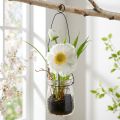 Mohnblume in Glasvase zum Hängen, Weiß, H22 cm, Kunststoff | Floristik24.at