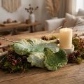 Getrockneter Baumpilz Grün-Weiß gewaschen 1kg | Floristik24.at