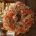 Deko Kranz Trockenblumen Blumenkranz Orange Creme Ø25cm | Floristik24.at