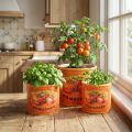 Tomaten Pflanztopf Set 3er-Set Keramik Blumentöpfe Retro-Stil 7–14 cm | Floristik24.at