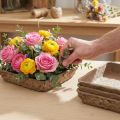 Oasis Biolit Steckschaum-Unterlage 13x13x2cm Natur Braun 12er Set | Floristik24.at