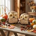 Eulen Dekofiguren aus Naturmaterialien 12,5×10×10cm Herbstdeko 2er-Set | Floristik24.at
