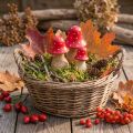 Fliegenpilz-Holzdeko 3er-Set, H6/8/10cm, Rot-Weiß, Herbst- und Weihnachtsdeko | Floristik24.at