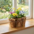 Ovale Holzschale mit Jutekordel 23x13x10cm, Natur geflammt | Floristik24.at