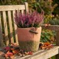 Beton Übertopf Ø18cm H17cm Terracotta-Grün für Blumen und Kräuter | Floristik24.at