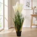 Künstliche Riedgras-Pflanze im Topf, Creme und Grün, 79 cm | Floristik24.at